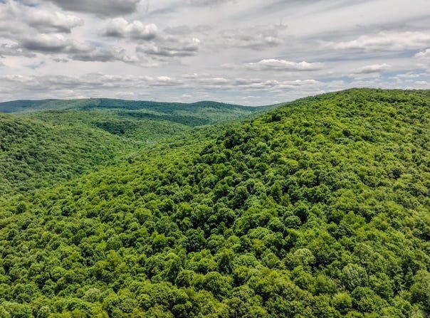 Pressley Ridge Rd, Ohiopyle, PA 15143
