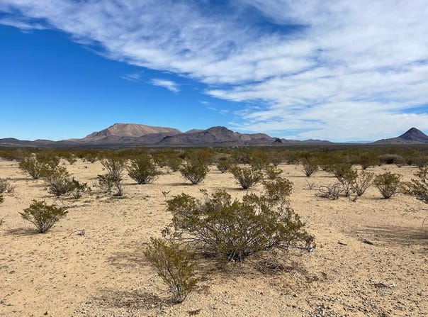 TR:604C LTM Rd, Terlingua, TX 79852