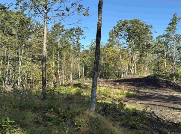 Valley Road, Ossipee, NH 03814