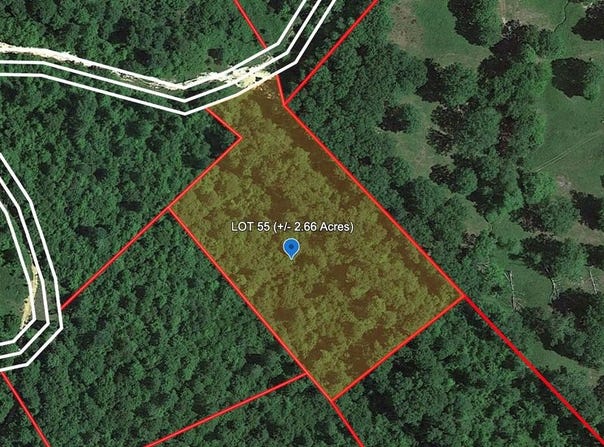 206 GERBER DAISY TRAIL, BRAGG, WV 25918