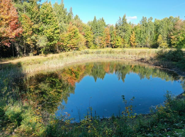 E 8 Mile Rd, Sugar Island, MI 49783