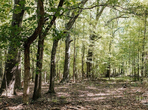 Lundburg Road, Washington, GA 30673