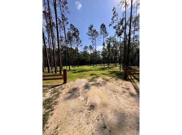 NE Webb Ln, Steinhatchee, FL 32359