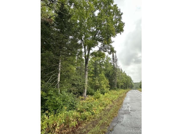 Old Beechwood Road, Iron River, MI 49935
