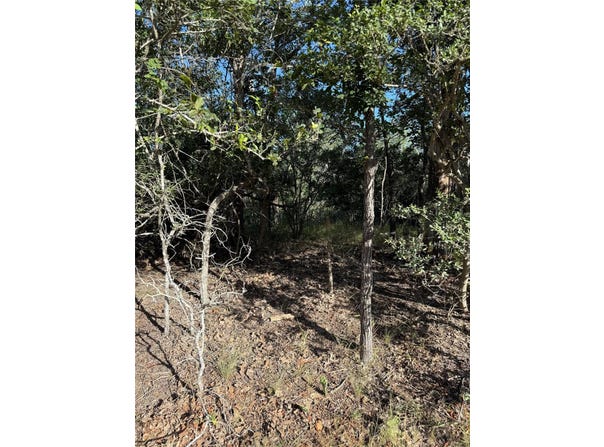 152 Helemano Dr, Bastrop, TX 78602