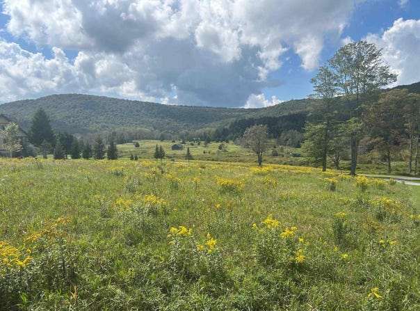 38 Waterfront Drive, Davis, WV 26260