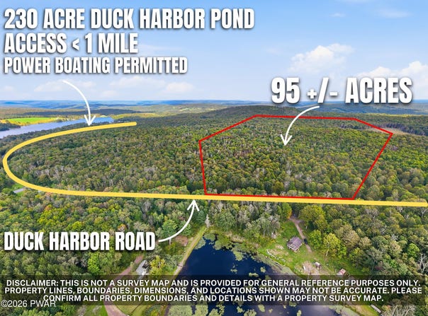 Duck Harbor Road, Equinunk, PA 18431