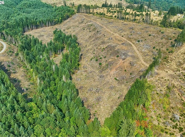 NW John Lee Rd, Buxton, OR 97109