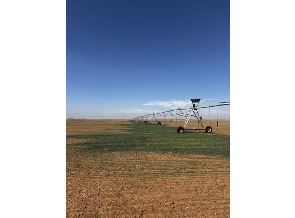 CR 26, Muleshoe Tx, TX 79347