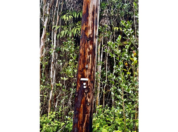 ROAD 9, Mountain View, HI 96771