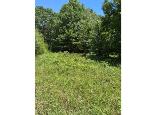 Davis Dr., Georgetown, GA 39854