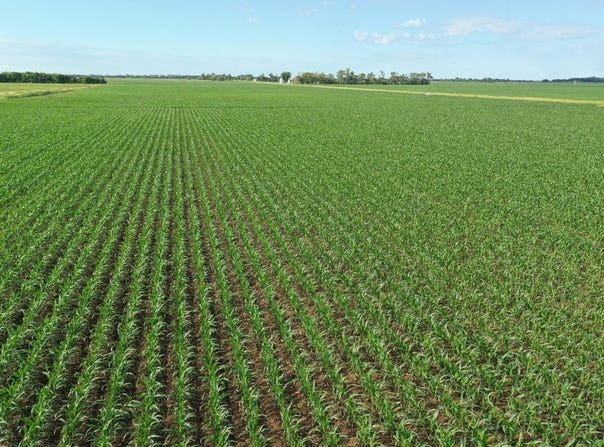 2015 U Rd, Clarks, NE 68628