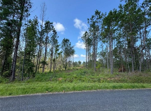 PARKER ISLAND Road, EQUALITY, AL 36026
