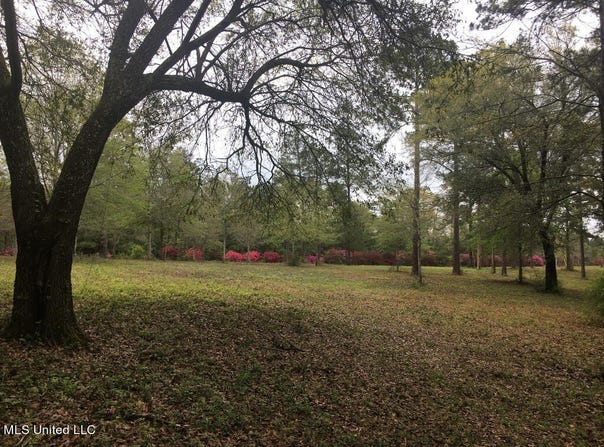 1 Lost Lunker Drive, Poplarville, MS 39470