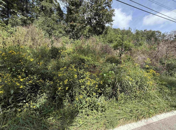 E Mud River Road, Milton, WV 25541