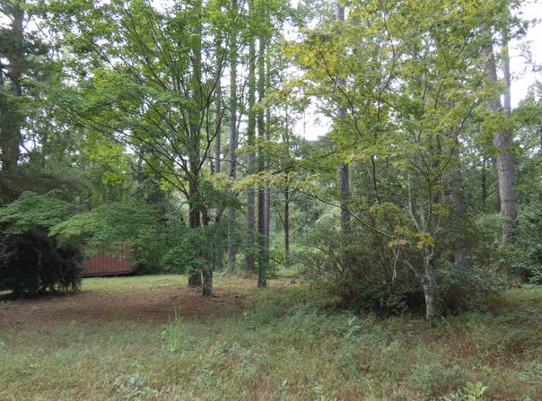 Spring Hollow Drive, Monticello, FL 32344