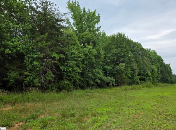 Pelzer, SC 29669