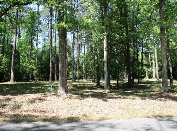 356 Woodsway Circle, Chatham, LA 71226