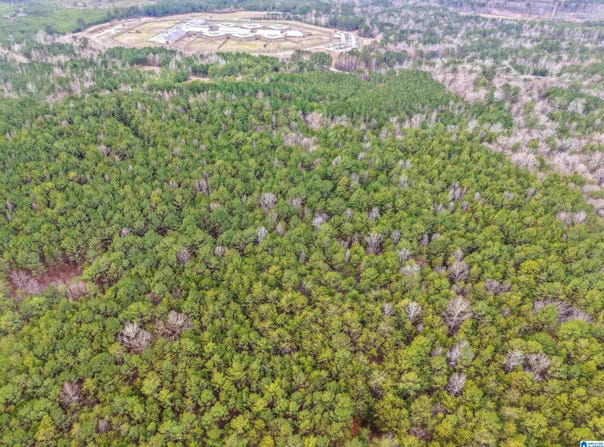 255 WARRIOR LANE lot: 255, BESSEMER, AL 35023