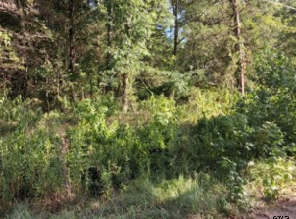 Dogwood Drive, Murchison, TX 75778