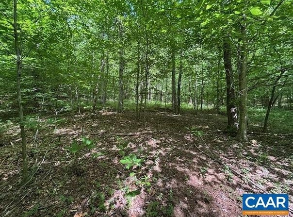 TM36-5b GARTH RUN RD lot: 5B, MADISON, VA 22727