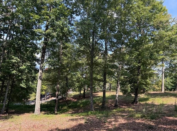 123 Madison Lane, Murphy, NC 28906