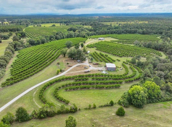 13610 Co Rd 37, Clanton, AL 35045