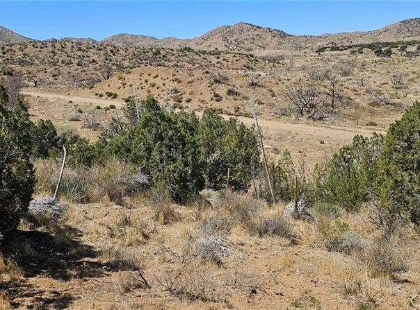 98th Street E, Juniper Hills, CA 93543