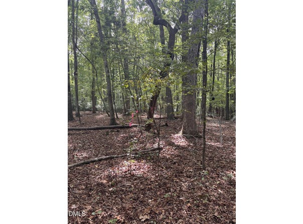 Dark Oaks, Pittsboro, NC 27312