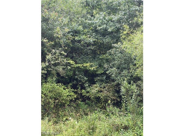 Jacobs Road, Youngstown, OH 44505