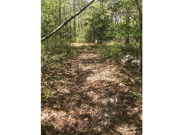 451R Gilbert, Mansfield, MA 02048