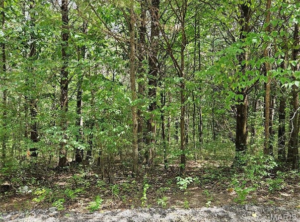 9480 Bent Tree Drive, Hillsboro, MO 63050