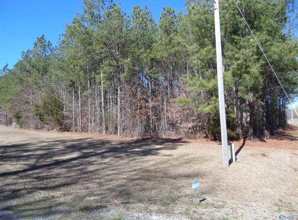 2225 County Road 55, Centre, AL 35960
