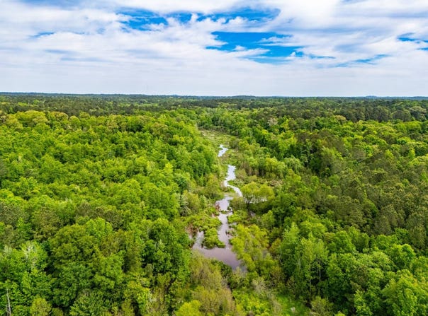 White Oak Rd, Gladewater, TX 75647