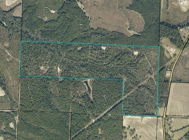 Senterfitt Rd, Laurel Hill, FL 32567
