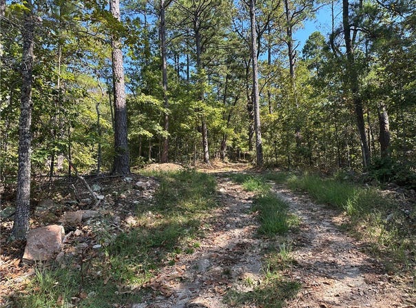 Cane Branch, Western Grove, AR 72685