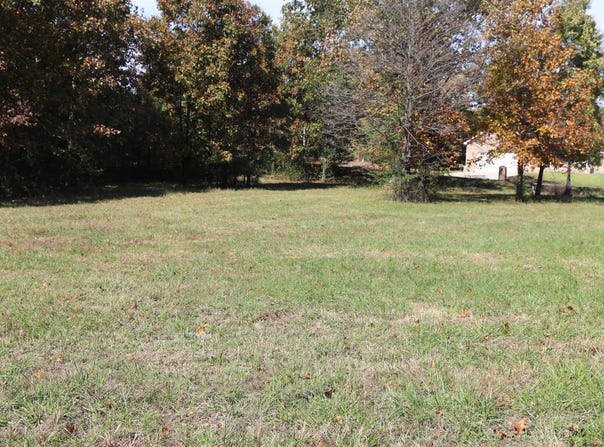 Wild Turkey, West Plains, MO 65775