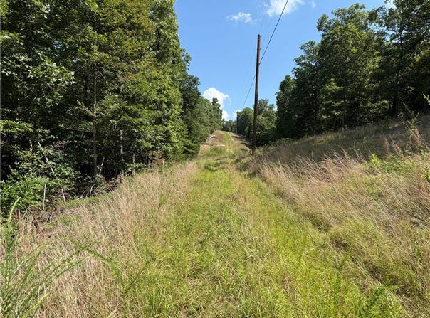 Tract D County Rd 516, Berryville, AR 72616