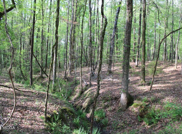 01 Ruffner Road, Barnesville, GA 30204