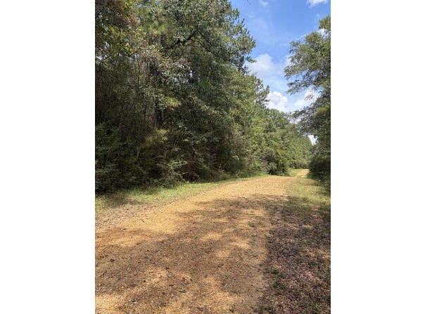 NHN Pinecroft Dr, Poplarville, MS 39470