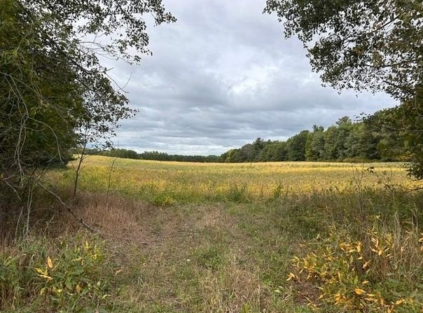 Melody Street, Braham, MN 55006
