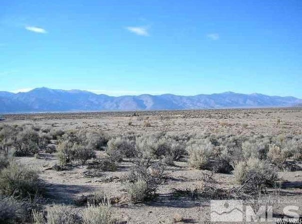 325 Ludwig, Smith, NV 89430
