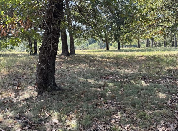 S 624 Road, Grove, OK 74344