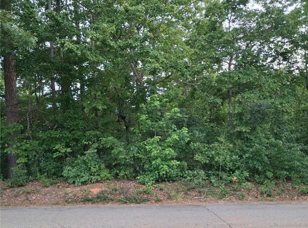Left Fork Road, Pickens, SC 29671