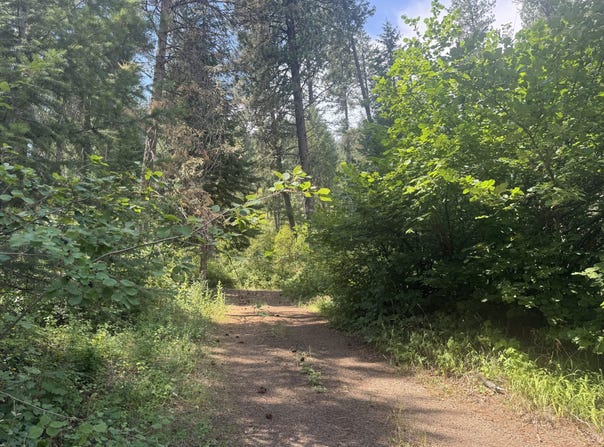 TBD, Council, ID 83612