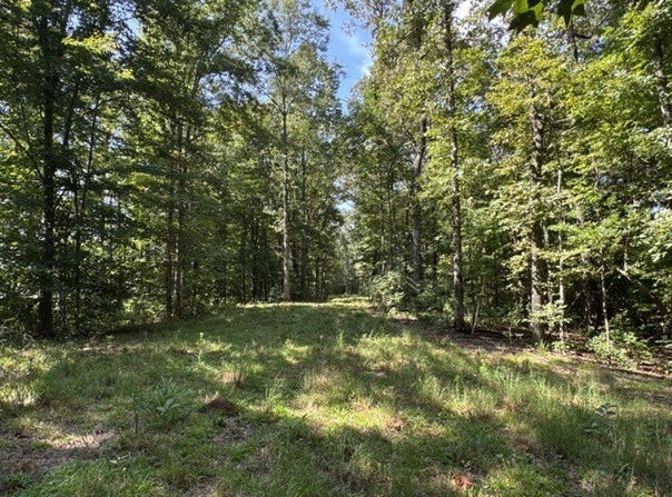 BOOZER RD, heflin, AL 36264
