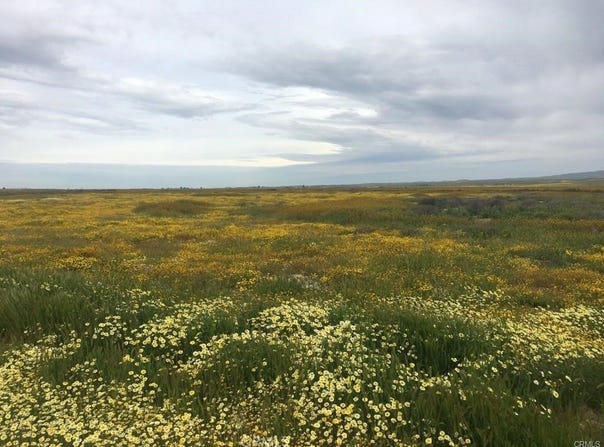 Arrowhead, California Valley, CA 93453