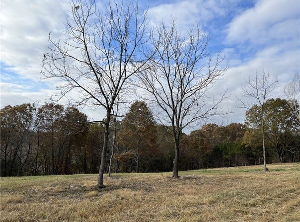 2758 N Center Loop lot: 0, Harrison, AR 72601