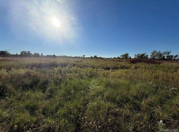 00 WINDMILL-PARCEL 4 WINDMILL LANE, Imlay Twp, MI 48444