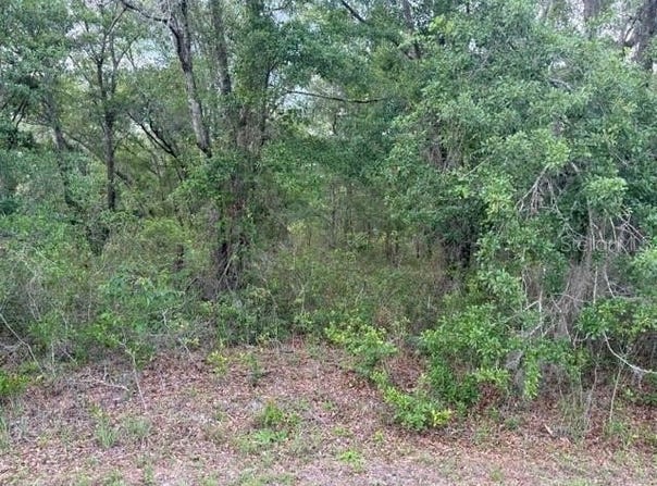 21902 NE 69TH Place, MELROSE, FL 32666